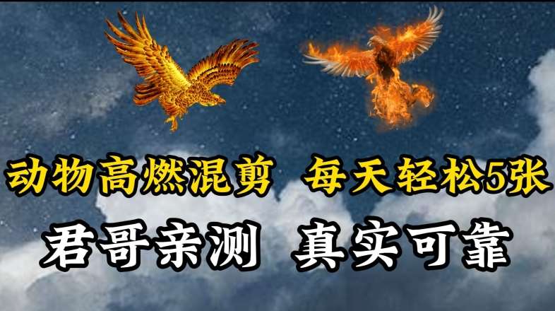 动物超燃混剪，每天轻松5张，剪辑简单大家爱看【揭秘】云深网创社聚集了最新的创业项目，副业赚钱，助力网络赚钱创业。云深网创社