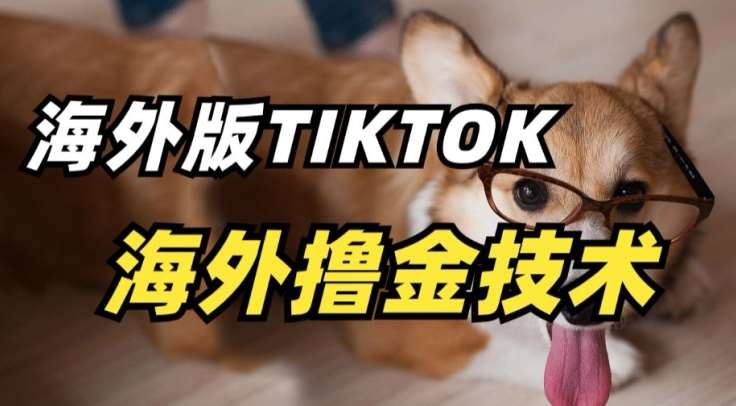 抖音海外版tiktok撸金技术，这个风口行业，赚钱真的不难【揭秘】云深网创社聚集了最新的创业项目，副业赚钱，助力网络赚钱创业。云深网创社