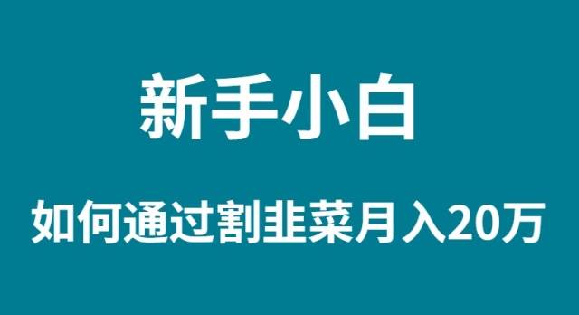 （9308期）新手小白如何通过割韭菜月入 20W云深网创社聚集了最新的创业项目，副业赚钱，助力网络赚钱创业。云深网创社