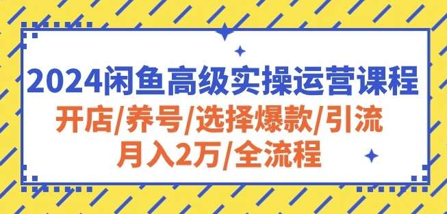 2024闲鱼高级实操运营课程：开店/养号/选择爆款/引流/月入2万/全流程云深网创社聚集了最新的创业项目，副业赚钱，助力网络赚钱创业。云深网创社