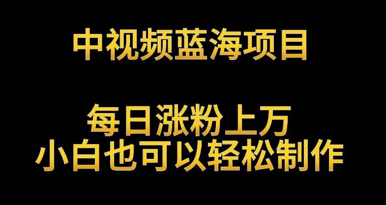 中视频蓝海项目，解读英雄人物生平，每日涨粉上万，小白也可以轻松制作，月入过万不是梦【揭秘】云深网创社聚集了最新的创业项目，副业赚钱，助力网络赚钱创业。云深网创社