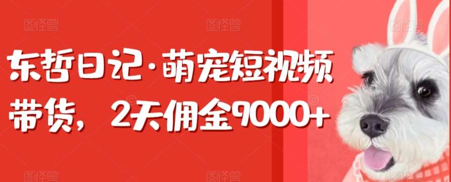 东哲日记·萌宠短视频带货，2天佣金9000+云深网创社聚集了最新的创业项目，副业赚钱，助力网络赚钱创业。云深网创社