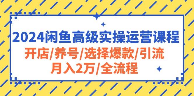 （10711期）2024闲鱼高级实操运营课程：开店/养号/选择爆款/引流/月入2万/全流程云深网创社聚集了最新的创业项目，副业赚钱，助力网络赚钱创业。云深网创社