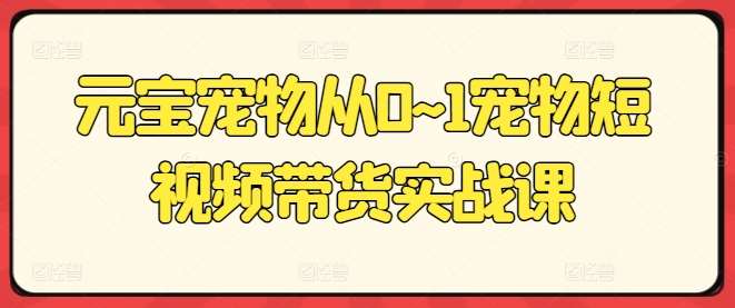 元宝宠物从0~1宠物短视频带货实战课云深网创社聚集了最新的创业项目，副业赚钱，助力网络赚钱创业。云深网创社