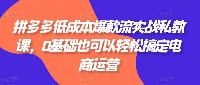 拼多多低成本爆款流实战私教课，0基础也可以轻松搞定电商运营云深网创社聚集了最新的创业项目，副业赚钱，助力网络赚钱创业。云深网创社