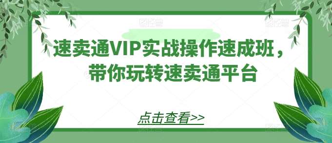 速卖通VIP实战操作速成班，带你玩转速卖通平台云深网创社聚集了最新的创业项目，副业赚钱，助力网络赚钱创业。云深网创社