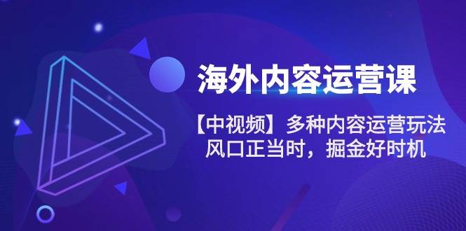 （10833期）海外内容 运营课【中视频】多种内容运营玩法 风口正当时 掘金好时机-101节云深网创社聚集了最新的创业项目，副业赚钱，助力网络赚钱创业。云深网创社