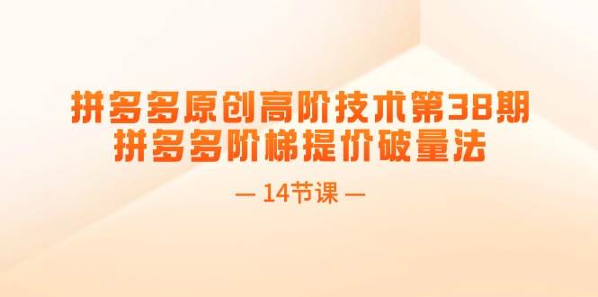 （11704期）拼多多原创高阶技术第38期，拼多多阶梯提价破量法（14节课）云深网创社聚集了最新的创业项目，副业赚钱，助力网络赚钱创业。云深网创社