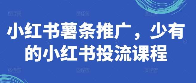 小红书薯条推广，少有的小红书投流课程云深网创社聚集了最新的创业项目，副业赚钱，助力网络赚钱创业。云深网创社