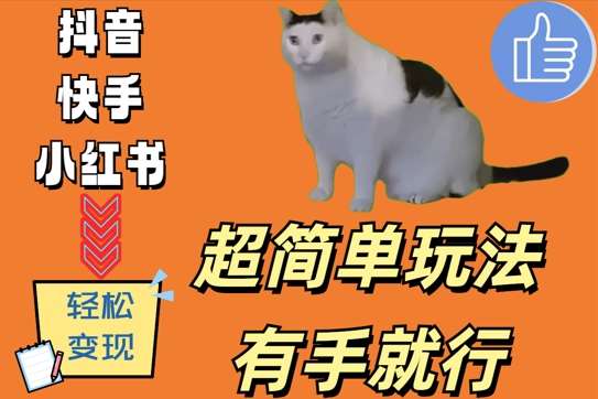 超简单玩法，有手就行，靠猫咪视频日入500+【揭秘】云深网创社聚集了最新的创业项目，副业赚钱，助力网络赚钱创业。云深网创社