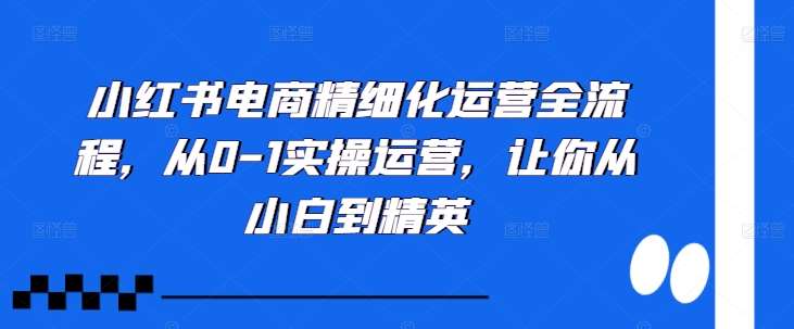 小红书电商精细化运营全流程，从0-1实操运营，让你从小白到精英云深网创社聚集了最新的创业项目，副业赚钱，助力网络赚钱创业。云深网创社