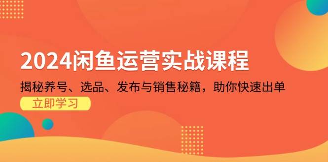 （13290期）2024闲鱼运营实战课程：揭秘养号、选品、发布与销售秘籍，助你快速出单云深网创社聚集了最新的创业项目，副业赚钱，助力网络赚钱创业。云深网创社