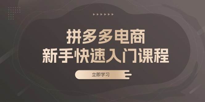 （13289期）拼多多电商新手快速入门课程：涵盖基础、实战与选款，助力小白轻松上手云深网创社聚集了最新的创业项目，副业赚钱，助力网络赚钱创业。云深网创社