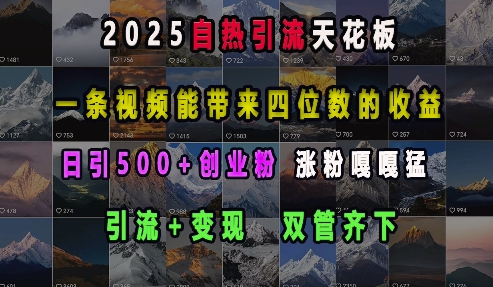 2025自热引流天花板，一条视频能带来四位数的收益，引流+变现双管齐下，日引500+创业粉，涨粉嘎嘎猛云深网创社聚集了最新的创业项目，副业赚钱，助力网络赚钱创业。云深网创社