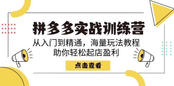 （14392期）拼多多实战训练营，从入门到精通，海量玩法教程，助你轻松起店盈利-云深网创社