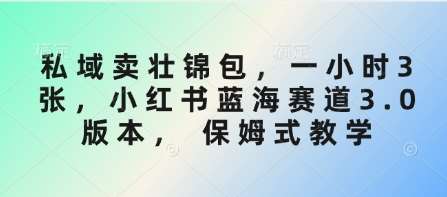 私域卖壮锦包，一小时3张，小红书蓝海赛道3.0版本， 保姆式教学-云深网创社